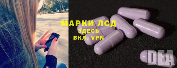 прущие грибы Ленинск-Кузнецкий