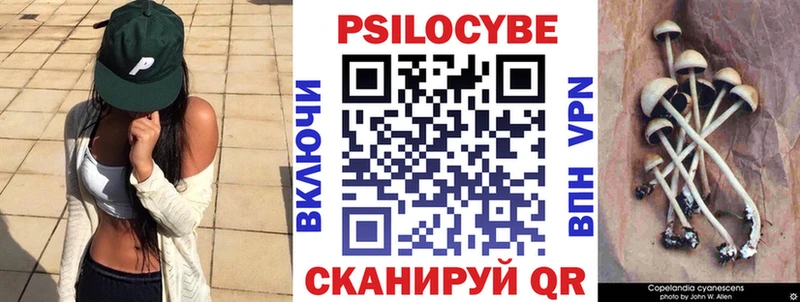 закладки  Светлогорск  Галлюциногенные грибы Psilocybine cubensis 